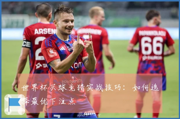 世界杯买球竞猜实战技巧：如何选择最优下注点