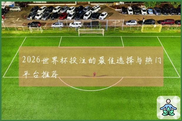 2026世界杯投注的最佳选择与热门平台推荐