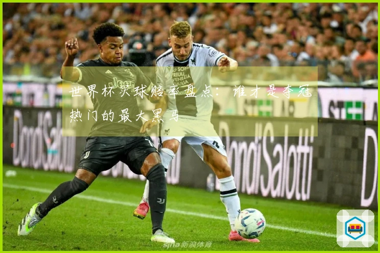 世界杯买球赔率盘点：谁才是夺冠热门的最大黑马