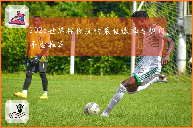 2026世界杯投注的最佳选择与热门平台推荐