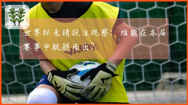 世界杯竞猜投注观察：谁能在本届赛事中脱颖而出？