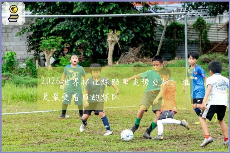 2026世界杯让球赔率走势分析：谁是最受看好的球队