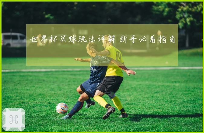 世界杯买球玩法详解 新手必看指南