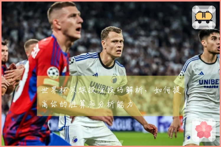世界杯买球投注技巧解析，如何提高你的胜算和分析能力