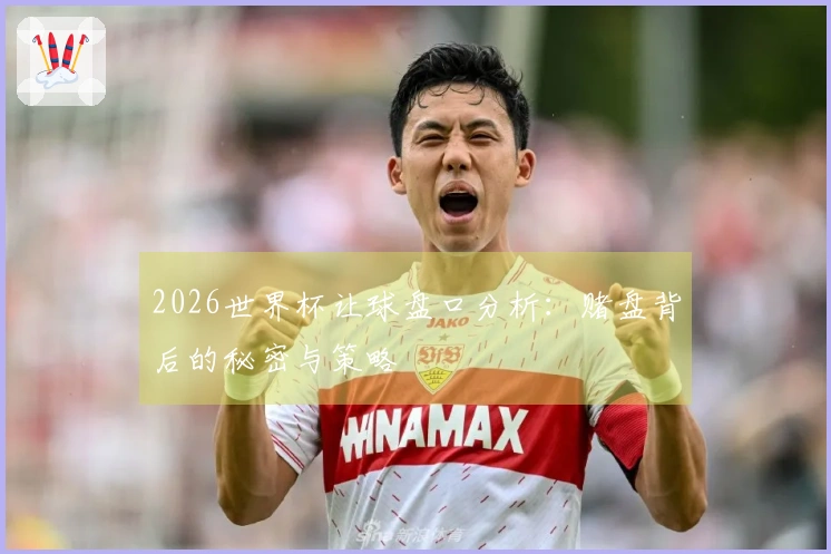 2026世界杯让球盘口分析：赌盘背后的秘密与策略
