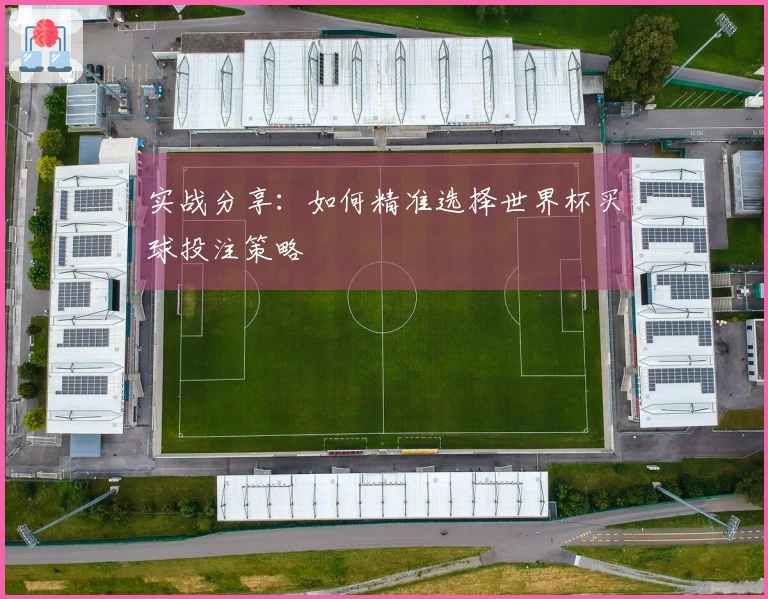 实战分享：如何精准选择世界杯买球投注策略