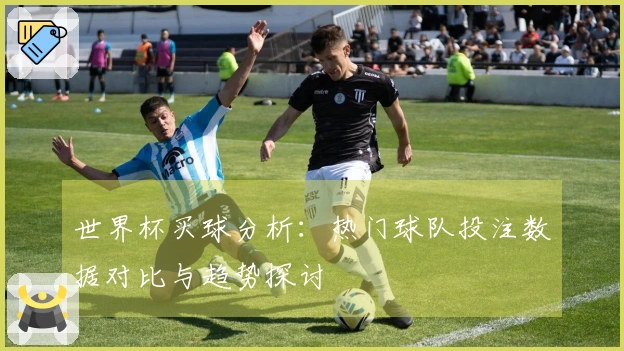 世界杯买球分析：热门球队投注数据对比与趋势探讨