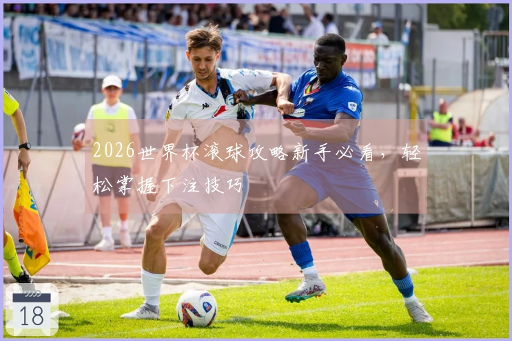 2026世界杯滚球攻略新手必看，轻松掌握下注技巧