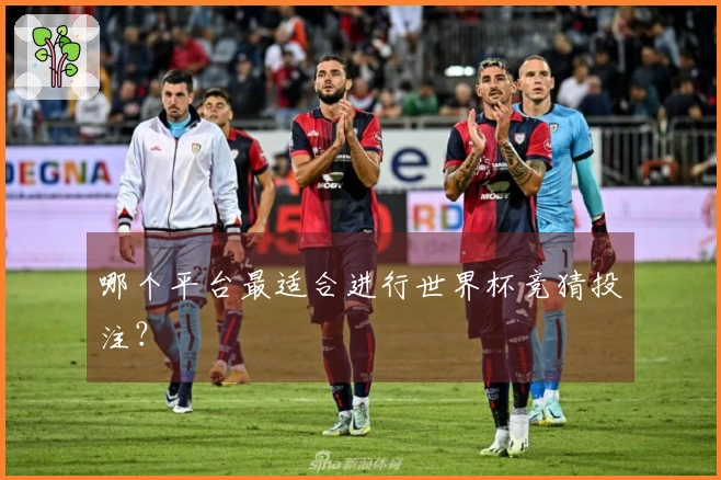 哪个平台最适合进行世界杯竞猜投注？