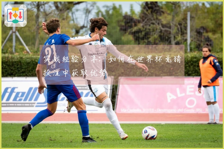 实战经验分享：如何在世界杯竞猜投注中获取优势